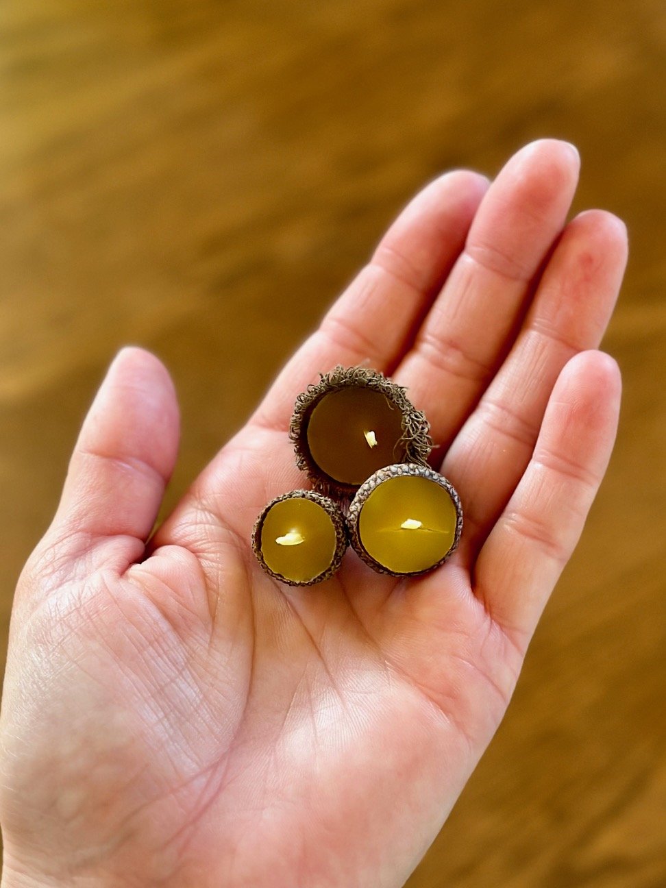 Acorn Cap Beeswax Candles